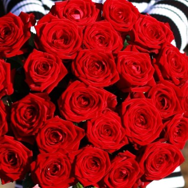 Букет из 51 красной розы