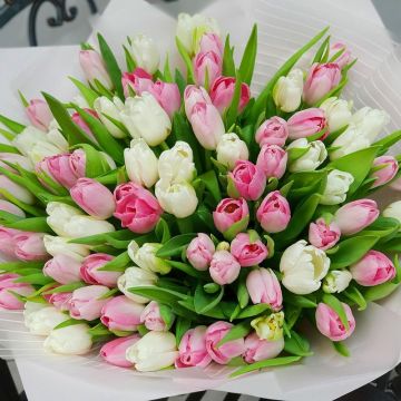 Весенний букет из розовых и белых тюльпанов в дизайнерской упаковке