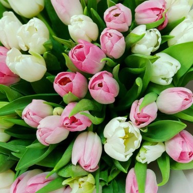 Весенний букет из розовых и белых тюльпанов в дизайнерской упаковке
