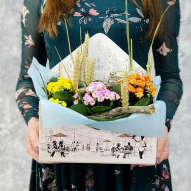 Композиция из каланхое Привет Лето