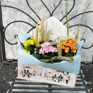 Композиция из каланхое Привет Лето