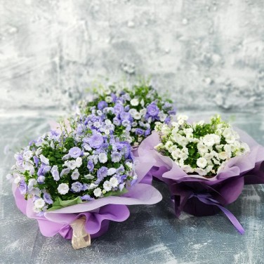 Композиция с кампанулой в упаковке