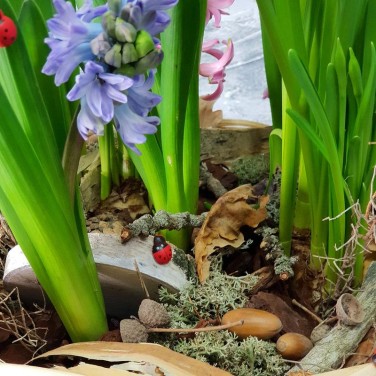 Корзина с гиацинтами и нарциссами Лесная