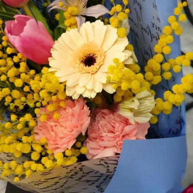 Прелестный букет из мимозы, тюльпанов и герберы
