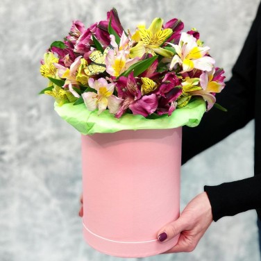 Разноцветная альстромерия в шляпной коробке