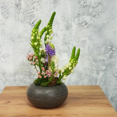 Композиция в офис из орнитогалума Настроение