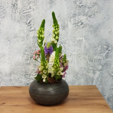 Композиция в офис из орнитогалума Настроение