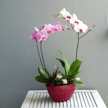 Цветочная композиция для офиса Гармония