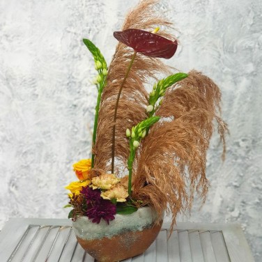 Офисная композиция из орнитогалума и антуриума Лесной мираж