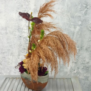 Офисная композиция из орнитогалума и антуриума Лесной мираж