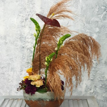 Офисная композиция из орнитогалума и антуриума Лесной мираж