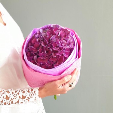 Букет из малиновой гортензии Фуксия