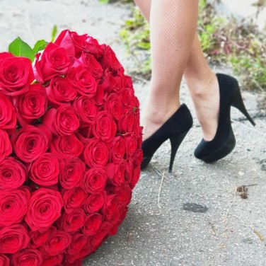 101 красная роза