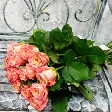 Букет из 15 коралловых роз Анжелика