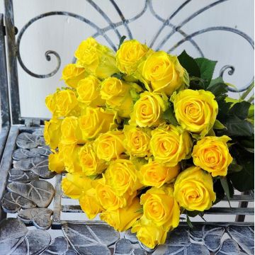Букет из 27 желтых роз Преданность