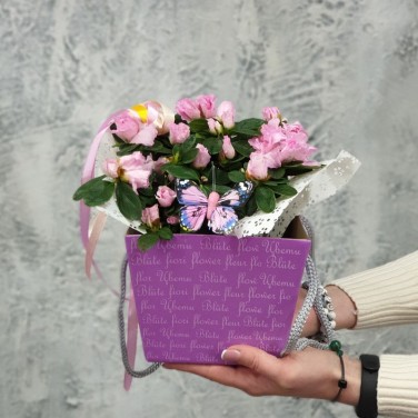 Композиция азалия в коробочке с лентами