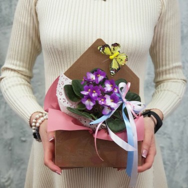 Композиция фиалка в крафтовом конверте с бабочкой