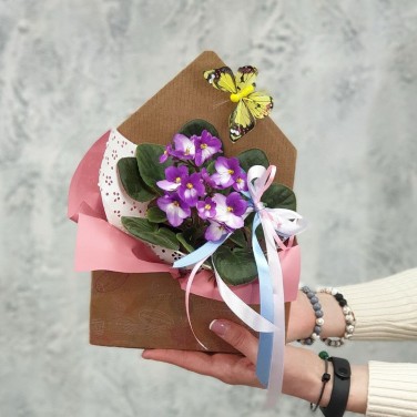 Композиция фиалка в крафтовом конверте с бабочкой