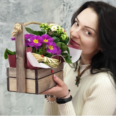 Композиция примула и каланхое в деревянном ящичке