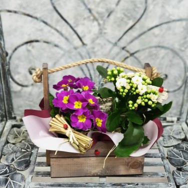 Композиция примула и каланхое в деревянном ящичке