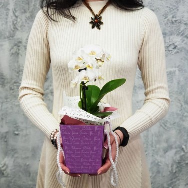 Композиция фаленопсис в коробочке