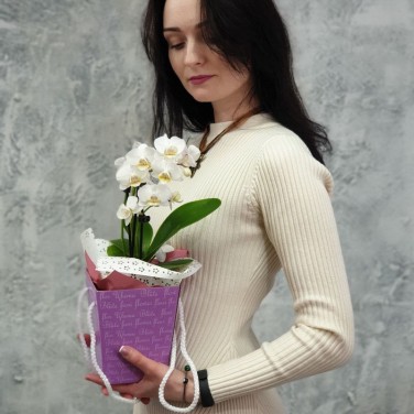 Композиция фаленопсис в коробочке