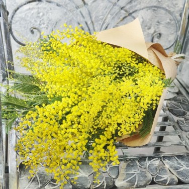 Букет из цветущей мимозы в крафте