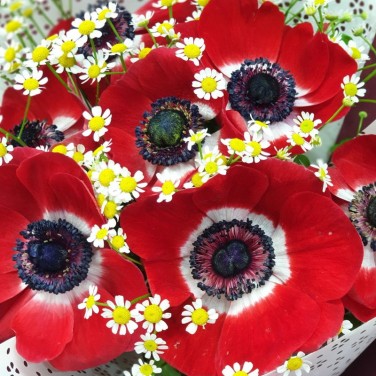 Яркий букет из красных анемонов и ромашки