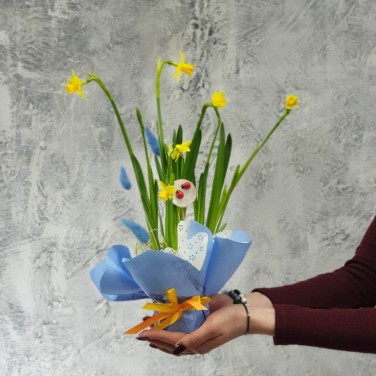 Нарцисс  в дизайнерской упаковке