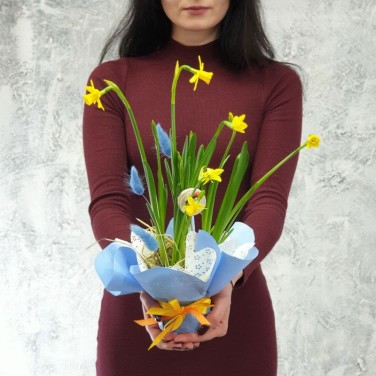 Нарцисс  в дизайнерской упаковке