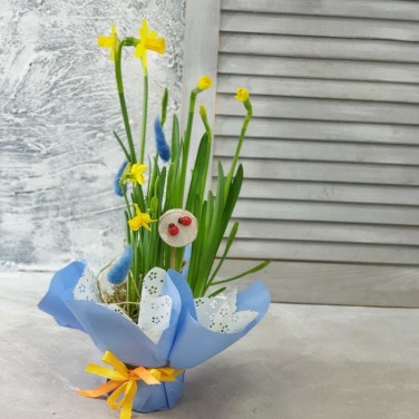 Нарцисс  в дизайнерской упаковке