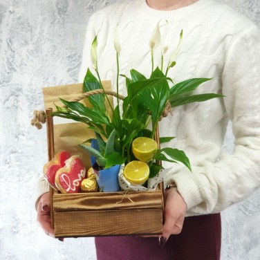 Композиция сладкий спатифиллум с чаем, печеньем, лимончиком