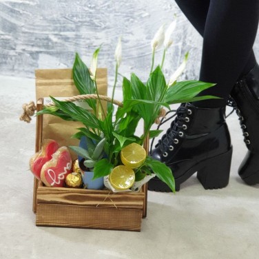 Композиция сладкий спатифиллум с чаем, печеньем, лимончиком