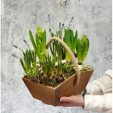 Ящик с гиацинтами, мускарями и природным декором