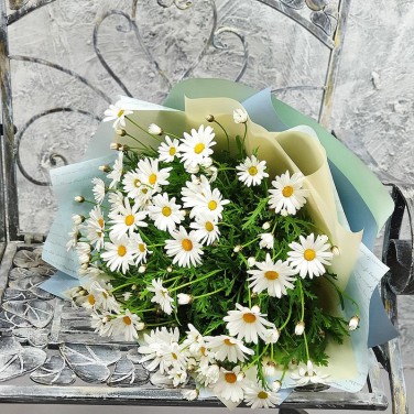 Моно-букет из ромашек в упаковке