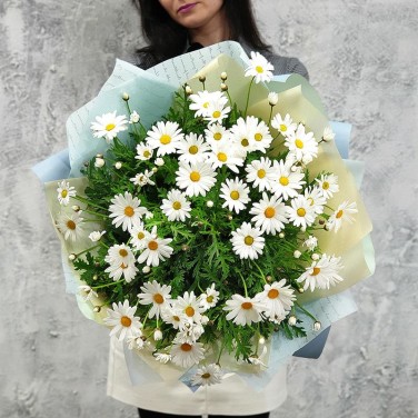 Моно-букет из ромашек в упаковке