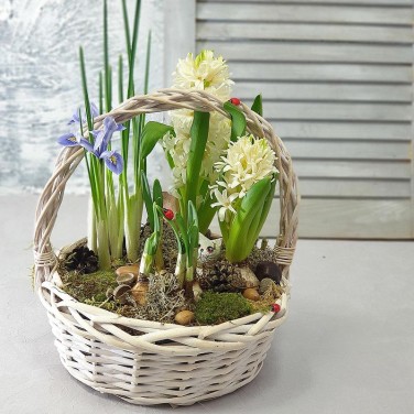 Весенняя корзина с гиацинтами, нарциссами и ирисами