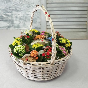 Композиция в корзине из каланхое
