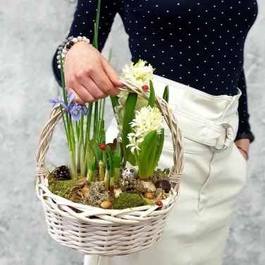 Весенняя корзина с гиацинтами, нарциссами и ирисами