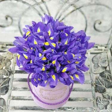 Синие ирисы в коробке