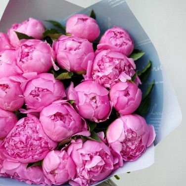 Шикарный букет из 25 ярко-розовых пионов
