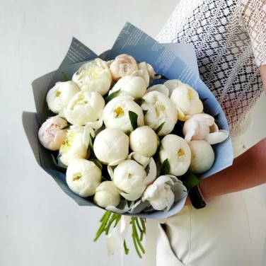 Моно-букет из 25 белых пионов - Безупречность