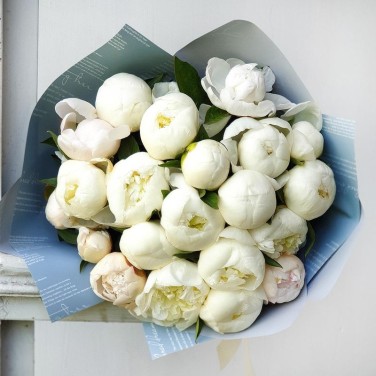 Моно-букет из 25 белых пионов - Безупречность