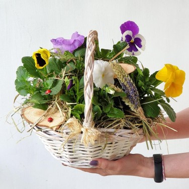 Корзина с анютиными глазками и природным декором