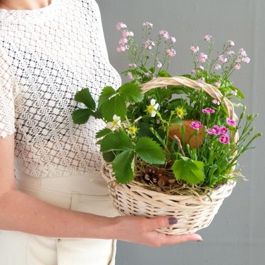 Корзина из полевых незабудок, гвоздики и  земляники