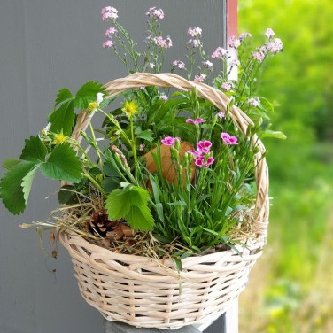 Корзина из полевых незабудок, гвоздики и  земляники