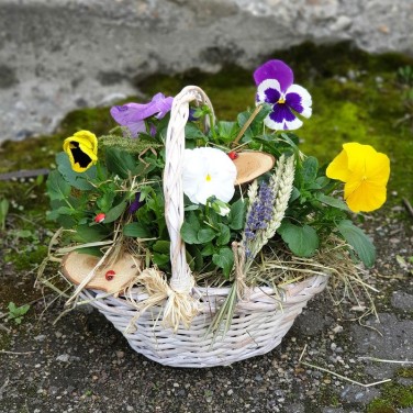 Корзина с анютиными глазками и природным декором