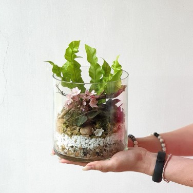 Флорариум с растениями