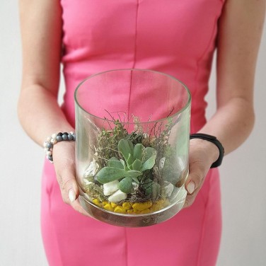 Садик цветочный в флорариуме