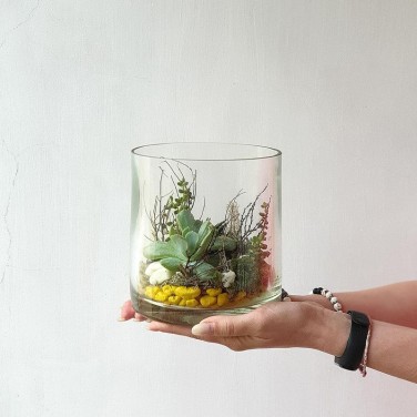 Садик цветочный в флорариуме